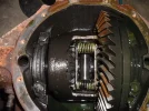 DSCF0032.webp
